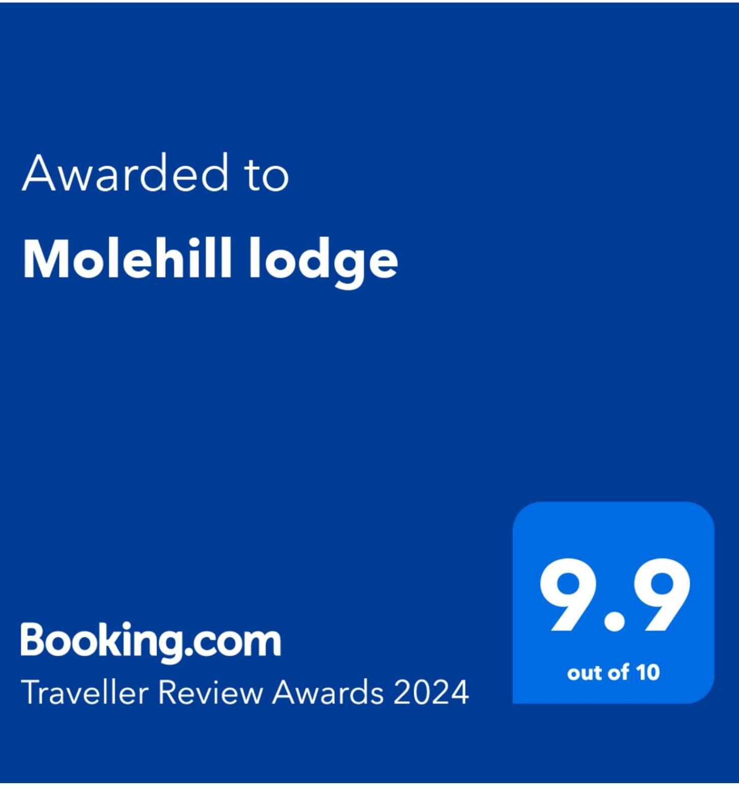 Molehill Lodge Swansea Eksteriør billede