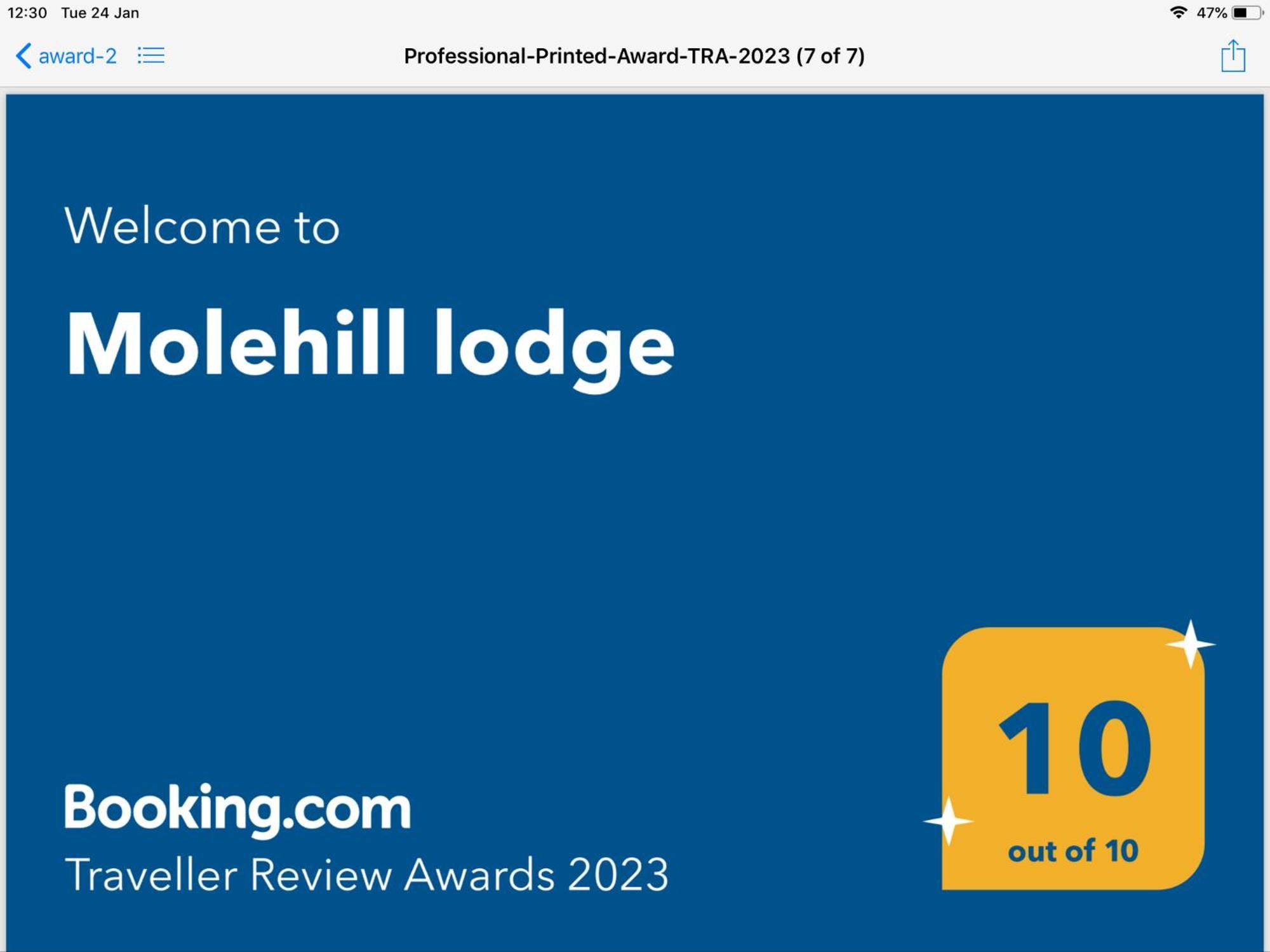 Molehill Lodge Swansea Eksteriør billede